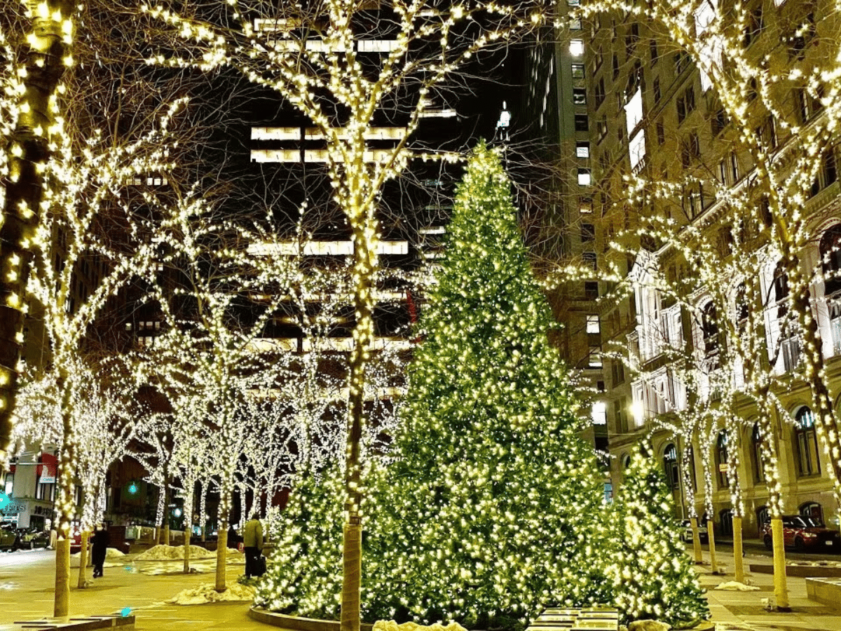 Zuccotti Park Hidden Christmas Lights Market In New York