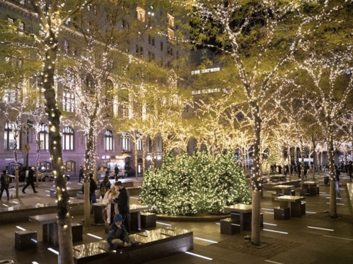 Zuccotti Park Hidden Christmas Lights Market In New York